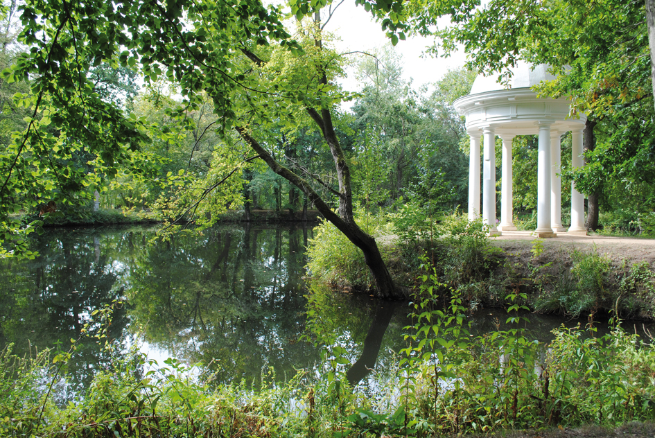 Auen Auwald Wasserleben Leipzig